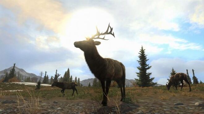 Cabela's Big Game Hunter Pro Hunts Torrent Download