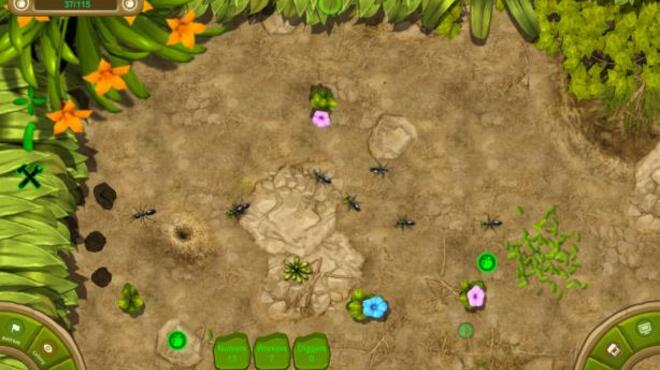 Ant Queen Torrent Download