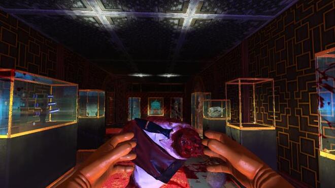 Viscera Cleanup Detail: Shadow Warrior PC Crack