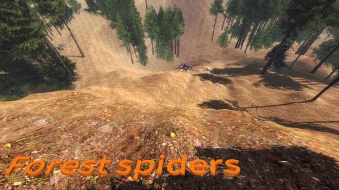 Forest spiders Free Download