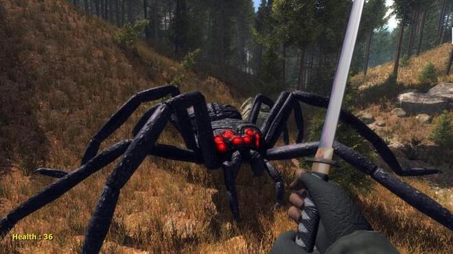 Forest spiders PC Crack