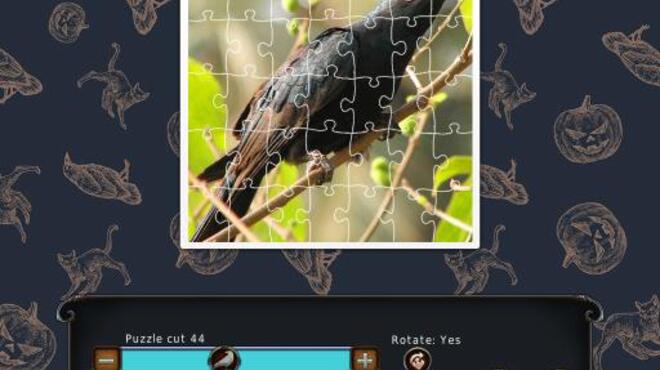 1001 Black Raven Jigsaw PC Crack