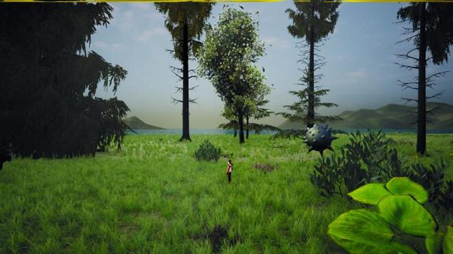 Lost Boy : Lost Island Torrent Download