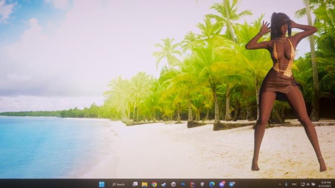 Desktop Beach Girls PC Crack