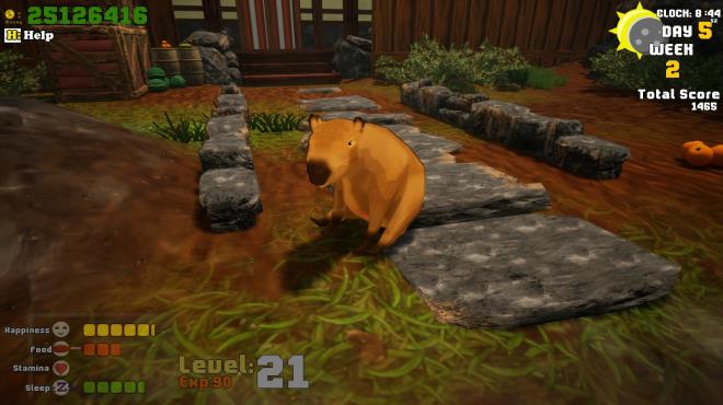 I Believe in Capybara Supremacy! PC Crack