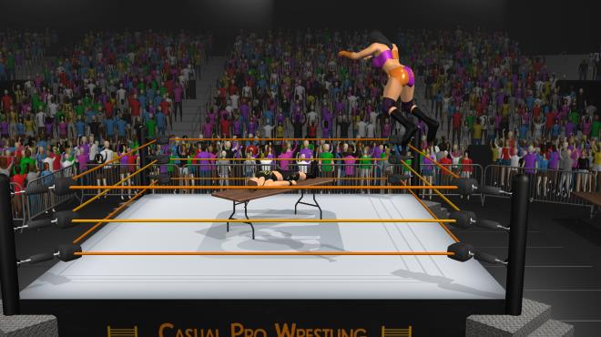 Casual Pro Wrestling PC Crack