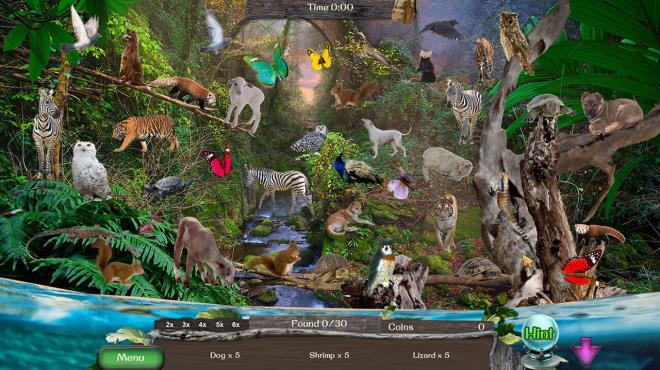 Animal Kingdom Torrent Download