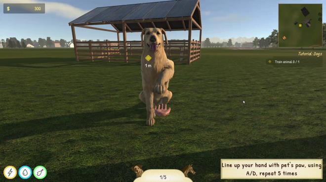 Animal Trainer Simulator PC Crack