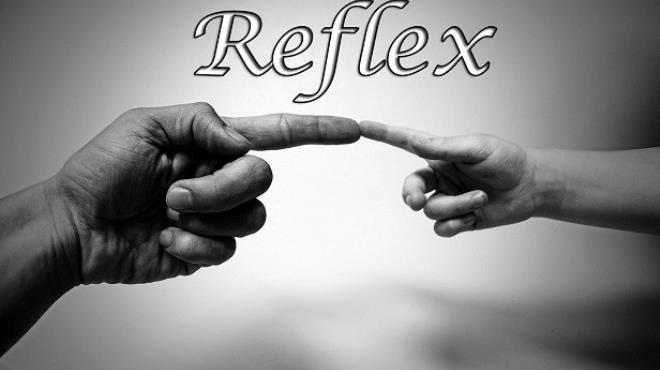 Reflex Free Download